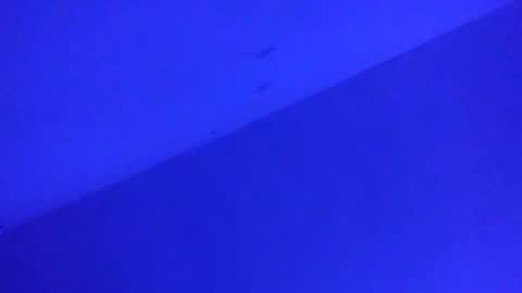 chi579822 online show from April 23, 2026, 9:19 am