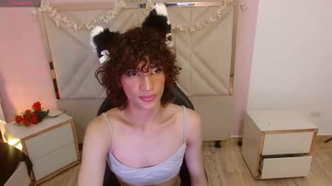 chipi_tay online show from November 20, 2025, 7:35 pm