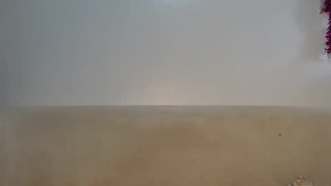 Lofti online show from April 3, 2026, 10:24 am