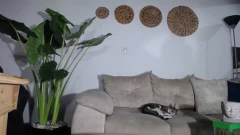 Snapshot of christopher_kenned chatting on February 4, 2025, 1:45 am Crisopher online show from February 4, 2025, 1:45 am