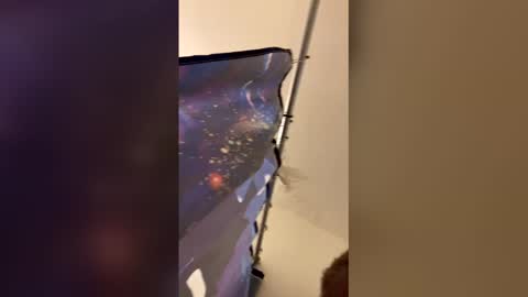 Mommy milf online show from April 6, 2026, 3:26 am