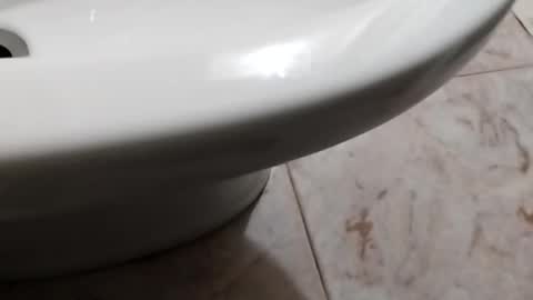 Snapshot of ciccilli chatting on October 8, 2025, 8:17 pm ciccilli online show from October 8, 2025, 8:17 pm