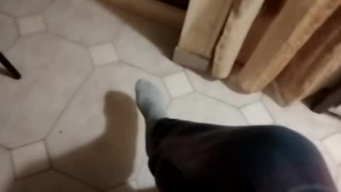 Snapshot of ciccilli chatting on October 16, 2025, 9:49 pm ciccilli online show from October 16, 2025, 9:49 pm