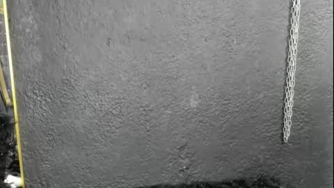 Snapshot of cintyarose chatting on February 26, 2026, 1:21 pm cintyarose online show from February 26, 2026, 1:21 pm