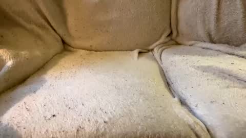 Snapshot of circlejerkslutt chatting on December 17, 2024, 4:53 pm join the circle online show from December 17, 2024, 4:53 pm