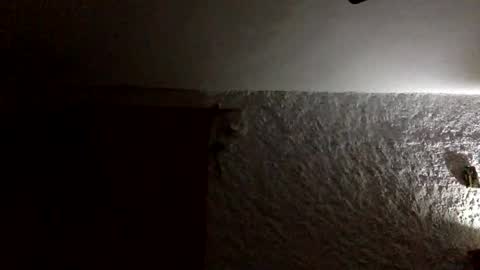 Snapshot of claudi779 chatting on January 11, 2026, 8:03 pm claudi779 online show from January 11, 2026, 8:03 pm