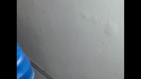 cockfanx online show from February 21, 2025, 1:55 pm