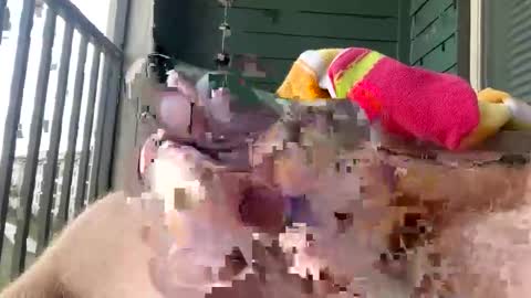 cocostarfish online show from March 1, 2026, 9:06 pm