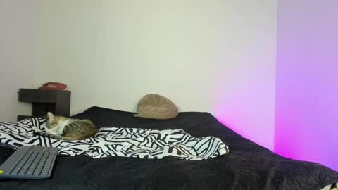 cody online show from November 16, 2025, 1:49 pm