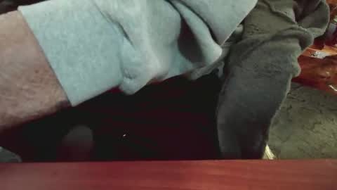 Snapshot of cody81421 chatting on January 15, 2025, 5:47 pm cody81421 online show from January 15, 2025, 5:47 pm