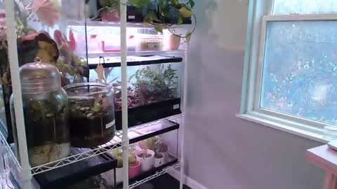 ANR Mommy online show from November 9, 2025, 5:22 pm