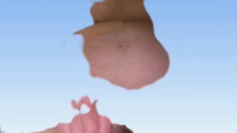 whatever you want it to be online show from February 24, 2026, 7:06 am