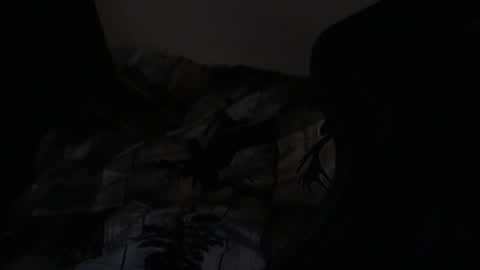 cooley77701 online show from February 24, 2026, 9:18 am