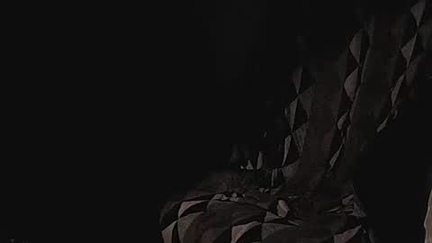 Snapshot of coolmementox chatting on January 17, 2025, 1:04 am ChoveEnArrakis online show from January 17, 2025, 1:04 am