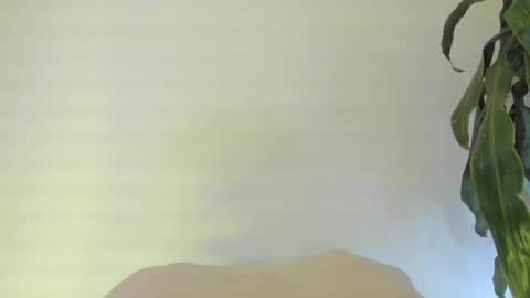 Coral princex online show from February 24, 2026, 6:11 am