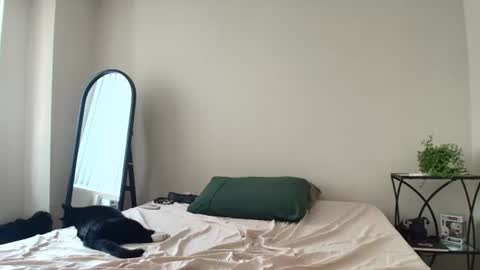 Snapshot of coriaddams chatting on July 12, 2026, 5:37 pm coriaddams online show from July 12, 2026, 5:37 pm