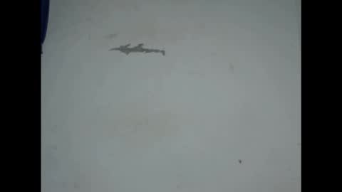 cornxcunt online show from February 18, 2026, 9:44 pm