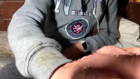 Corrado online show from December 29, 2024, 8:33 am