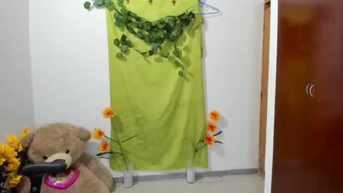 Ethan  online show from January 27, 2025, 2:31 am