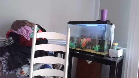 Snapshot of countrylovin2018 chatting on March 4, 2025, 5:56 pm Fallen Angel 21 online show from March 4, 2025, 5:56 pm