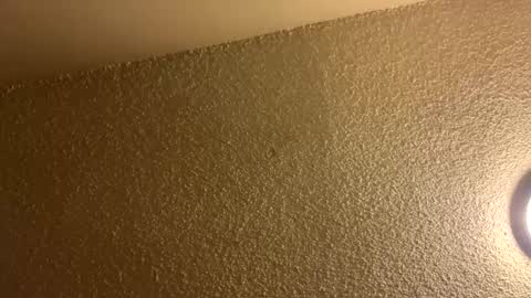 Snapshot of couplebroad_ chatting on March 3, 2025, 6:48 am couplebroad_ online show from March 3, 2025, 6:48 am