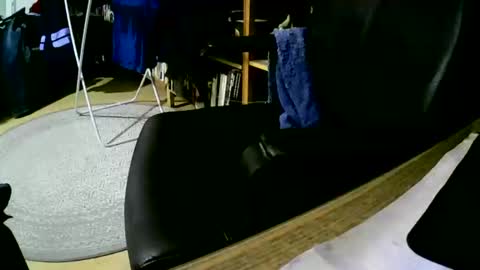 coyote017 online show from February 1, 2025, 6:00 am