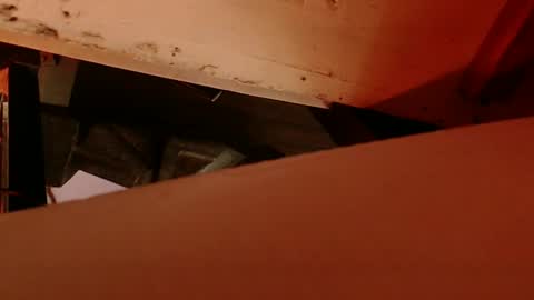 cryan96 online show from February 4, 2025, 8:56 am