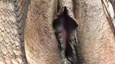 Nambuusi Irene online show from February 16, 2026, 9:00 pm