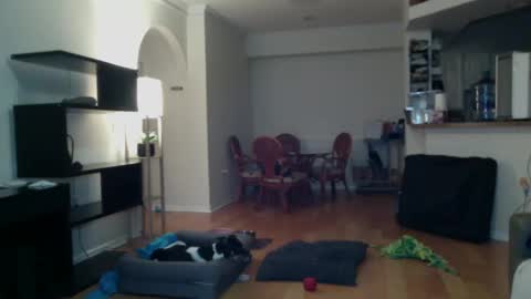 cumfiesta1 online show from February 2, 2025, 4:22 pm