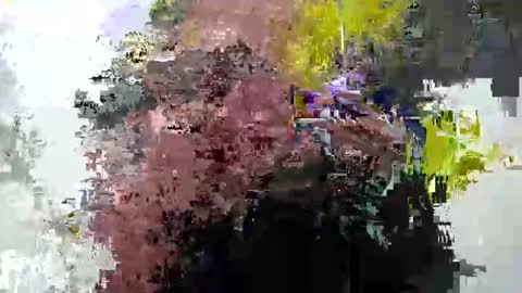 cummwitme211 online show from February 25, 2025, 6:42 pm