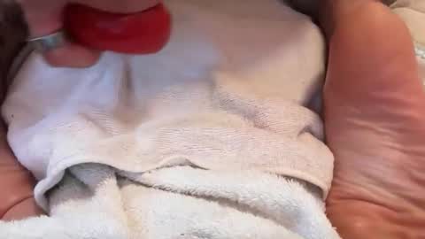 cummyummyy online show from March 13, 2026, 10:55 am