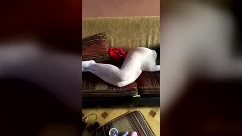 Erics couple online show from August 1, 2026, 3:06 am