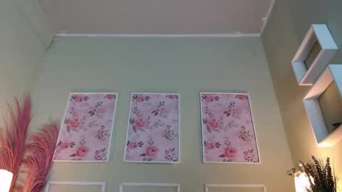 DANI online show from November 20, 2025, 12:05 pm