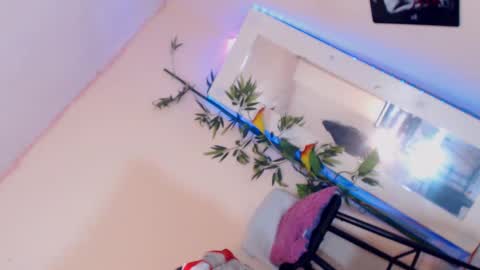 Snapshot of cute_ts_charlott chatting on December 17, 2024, 3:17 pm danny online show from December 17, 2024, 3:17 pm