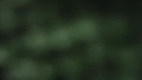 cuteeboy online show from October 18, 2025, 8:09 pm