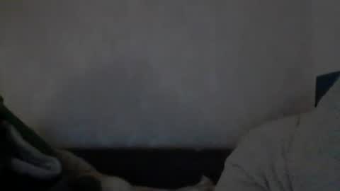 Snapshot of cutekattie chatting on December 9, 2024, 8:00 am cutekattie online show from December 9, 2024, 8:00 am