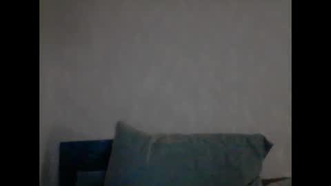 Snapshot of cutekattie chatting on December 29, 2024, 8:55 am cutekattie online show from December 29, 2024, 8:55 am