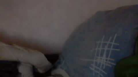 Snapshot of cutekattie chatting on January 9, 2025, 3:58 am cutekattie online show from January 9, 2025, 3:58 am