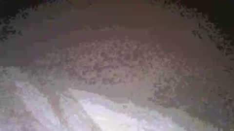 cwill27837 online show from February 26, 2026, 3:38 am