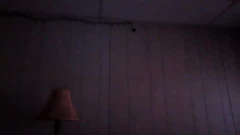 Snapshot of d1d_u_m1ss_1t chatting on November 1, 2025, 9:33 am d1d_u_m1ss_1t online show from November 1, 2025, 9:33 am