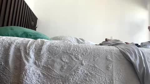 Snapshot of dabeibe chatting on April 12, 2026, 7:19 pm Jewbb online show from April 12, 2026, 7:19 pm