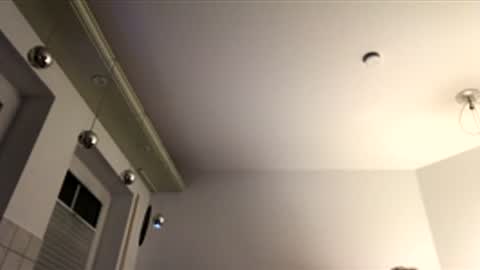 dachdecker7269 online show from December 16, 2025, 5:12 am