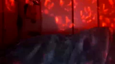 Daddett iS Wett online show from December 18, 2025, 9:48 am