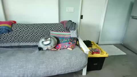 Snapshot of daddycache chatting on October 27, 2025, 8:35 pm bas online show from October 27, 2025, 8:35 pm