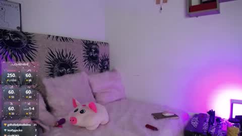 daenerys_cat online show from March 1, 2025, 3:05 pm