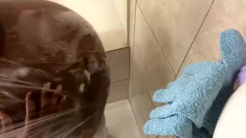 dafoxxx876 online show from November 24, 2025, 8:03 am