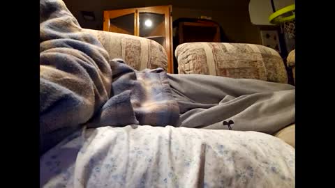 DailyJerker84 online show from March 1, 2025, 6:13 am