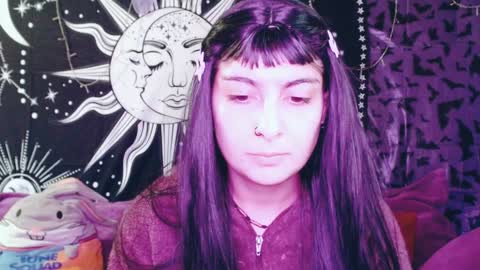 Snapshot of dak_7 chatting on December 12, 2024, 10:42 pm -- -- help me reach 100 hands up online show from December 12, 2024, 10:42 pm