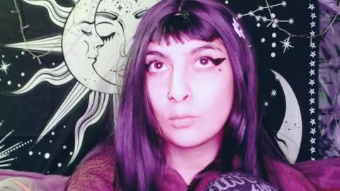 Snapshot of dak_7 chatting on December 13, 2024, 2:54 am -- -- help me reach 100 hands up online show from December 13, 2024, 2:54 am