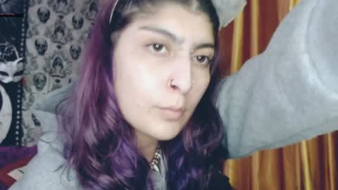 Snapshot of dak_7 chatting on February 5, 2025, 3:13 am -- -- help me reach 100 hands up online show from February 5, 2025, 3:13 am